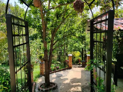 an entrance to a garden with a tree through a gate at Pear Tree Luxe Entire 3BHK Villa - Only For Family in Kotagiri