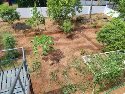 a garden with trees and plants on the ground at COZY Homes in Nedumbassery