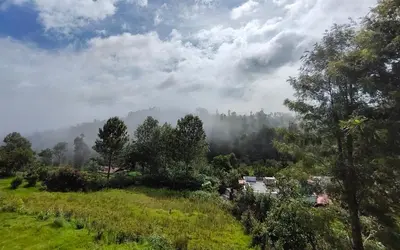 a view of a field with trees and clouds at Silver Spruce Glass Villa 1BHK Kotagiri in Kotagiri