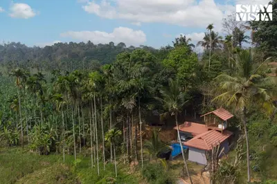a house in the middle of a forest of palm trees at StayVista at Palm Tree Homes with Complimentary Breakfast, BBQ Grill and Pet-Friendly Home in Wayanad
