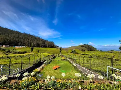a garden with an umbrella in the middle of a field at Bagaan - Tea Plantation Stay, Ooty in Aruvankadu