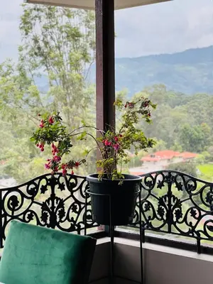 two potted plants sitting on a window sill at Sunset Villa in Coonoor