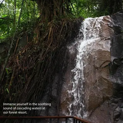 a waterfall in theotingsound of exercising wastes at our forest resort at Wayanad Silverwoods Forest Resort & Spa in Padinjarathara