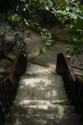 a walkway with a fence in a park at Wayanad Silverwoods Forest Resort & Spa in Padinjarathara