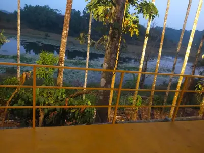 a view from the balcony of a resort with palm trees at Winter Villa Karapuzha in Wayanad