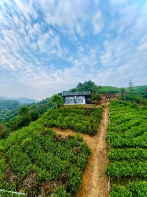 a house on top of a hill with a dirt road at Mist View Resort Wayanad in Wayanad