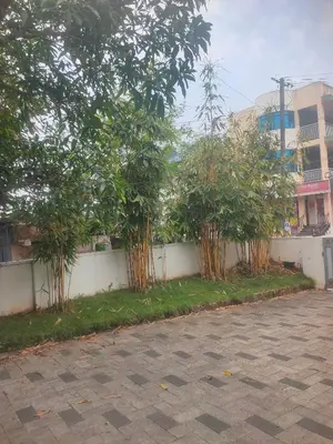 a row of trees next to a white wall at THEStay in Alwaye