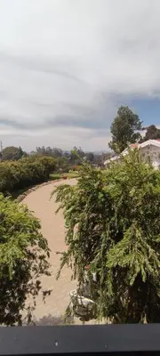 a beach with trees in the middle of it at OOTY LIMRA HOLIDAY INN cottage in Ooty