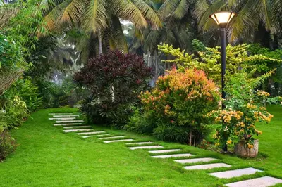 a garden with a light pole and some plants at Villa Woods & Palms in Pollāchi