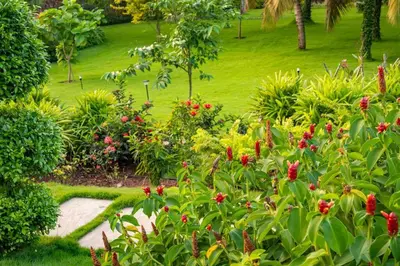 a garden with red flowers and a green lawn at Villa Woods & Palms in Pollāchi