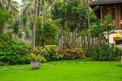 a yard with green grass and palm trees at Villa Woods & Palms in Pollāchi
