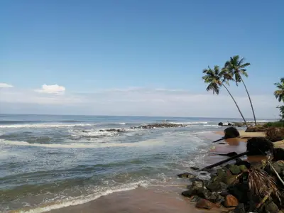 a beach with palm trees and the ocean at Ocean Whisper- psst! hidden gem in Kaipamangalam