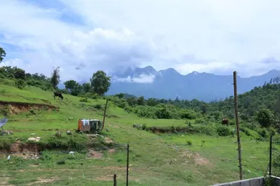 a field with horses grazing on a hill with mountains at Iyer Square in Attappādi