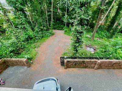 a dirt road in the middle of a forest at Montage Villa in Kozhikode