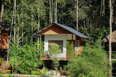 a small house in the middle of a forest at BLUE CREEK in Meppādi