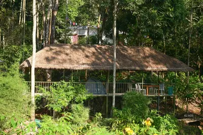 a hut with a thatched roof in a forest at BLUE CREEK in Meppādi