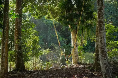 a person on a swing in a forest at BLUE CREEK in Meppādi