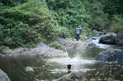 a man is standing in the water in a river at BLUE CREEK resort in Meppādi