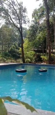 a swimming pool with three black objects in the water at BLUE CREEK resort in Meppādi