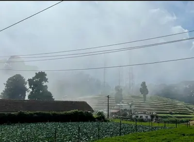 a view of a farm with a field of crops at Forest Gate villa in Ooty