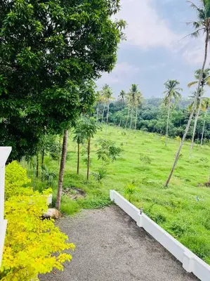a path leading to a field with palm trees at Haven Stay Manor in Kotamangalam