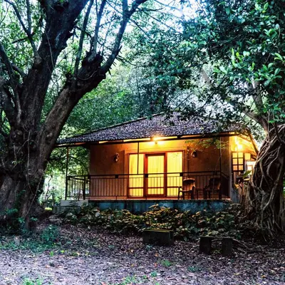 a small cabin in the middle of a forest at The Road's End in Gonikoppal