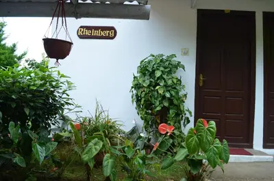 a front door of a house with a plant at Rheinberg Town Haus in Munnar