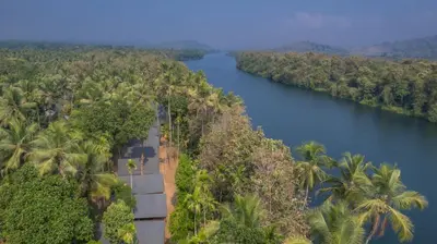 an aerial view of a river with palm trees at Amritara Riverside Camp in Thattakād