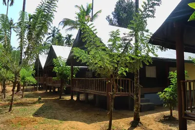 a group of trees in front of a house at Amritara Riverside Camp in Thattakād
