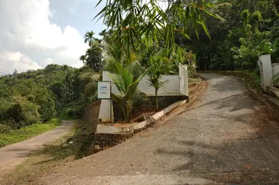 a dirt road with palm trees on the side at Dhara Dhvani Getaway Homes in Tindummal