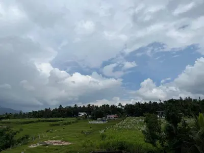a green field with trees and a cloudy sky at Bro Code Marayoor A Premium Family Friendly Retreat with Panoramic Mountain Views in Marayoor