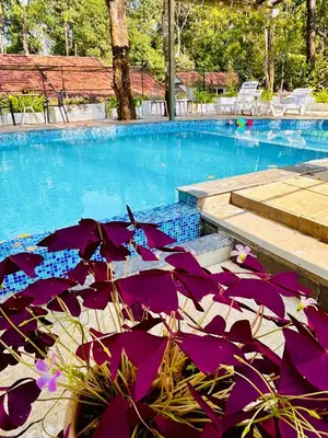 a large swimming pool with purple umbrellas on the ground at Drey at Druv Dakshin Farm Resort in Padinjarathara