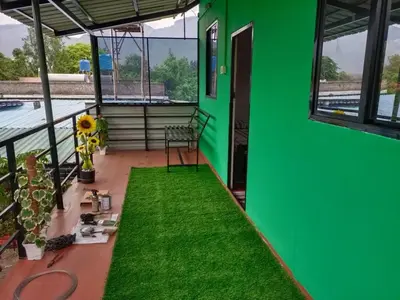 a green house with a lawn on the porch at Wild Tusker Homestay Masinagudi by LexStays in Masinagudi