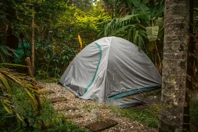 a tent in the middle of a forest at The Soul Marayoor Mudhouse - Munnar in Marayoor