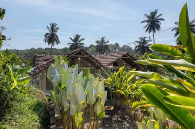 a garden with palm trees and houses in the background at Tool House - Great Estate Stay for Remote Work in Siddapur