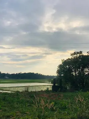 a field with a body of water next to a river at Neermathalam, a traditional kerala tharavadu in Palakkad