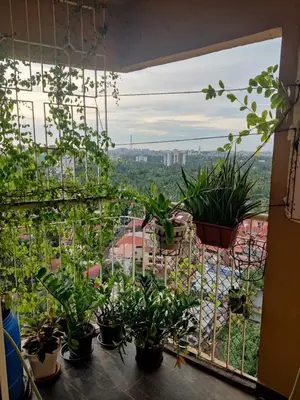 a balcony with potted plants and a view of a city at Urban Oasis in Trichūr