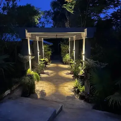 Wilderness Jungle Camp