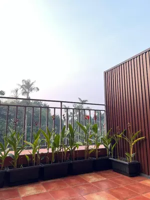 a balcony with plants on it with a view at Sahya Regency in Ottappālam