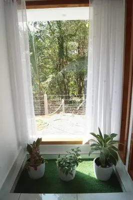 three potted plants sitting in front of a window at Vihaara Wayanad Serviced Villa in Ambalavayal