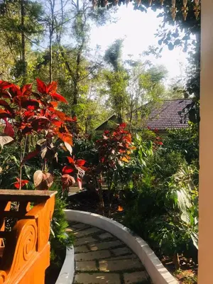 a garden with red plants and a walkway at Coorg Orange Blossom Resort and Spa in Suntikoppa