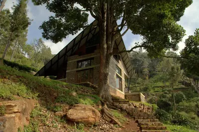 a house on a hill with a tree at O'Land Wilderness Lodge in Kolakambe
