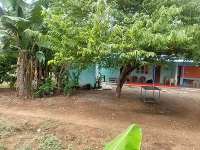 a tree in front of a house with a swing at GO2 Village Homestay in Pennāgaram