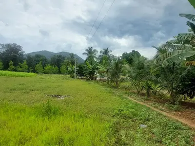a field of grass with palm trees in the background at GO2 Village Homestay in Pennāgaram