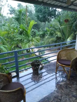 a balcony with two chairs and palm trees at Mitra retreats in Mānantoddy