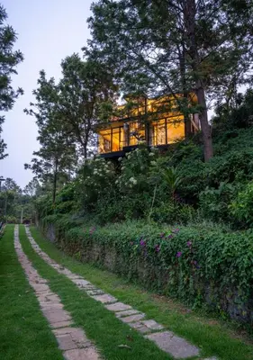 a house on a hill with a tree at LohonoStays Amani Villa 9A in Coonoor