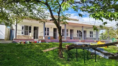 a house with a tree in front of it at Alappat Lodge Masinagudi in Masinagudi
