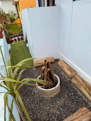 a plant in a pot sitting next to a wall at Casa Serenity in Ooty