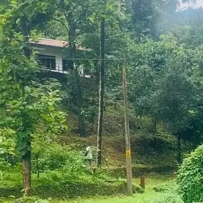 Plantation stay