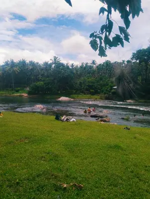 a group of people swimming in a river at ADVI'S homestay in Agali